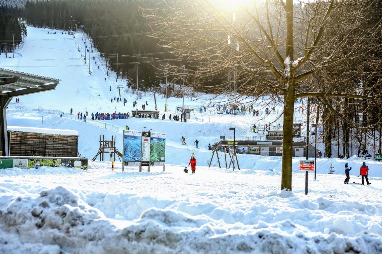Apartmanovy Dum Pastak Loučná nad Desnou Bagian luar foto